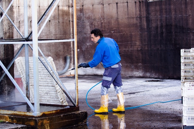 Pracownik portu myjący ciśnieniowo palety po rybach